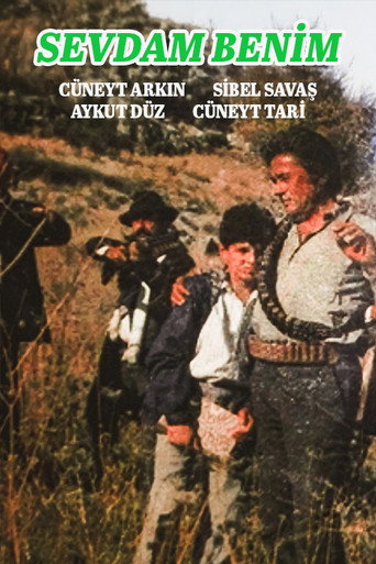 Póster de Sevdam Benim