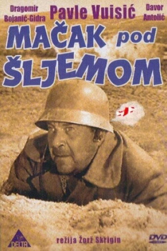 Póster de Mačak pod šljemom