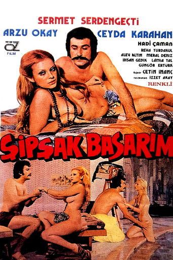 Póster de Şipşak Basarım