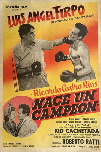 Póster de Nace un campeón