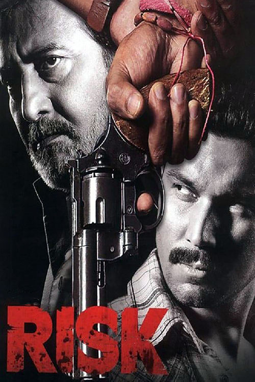 Póster de Risk