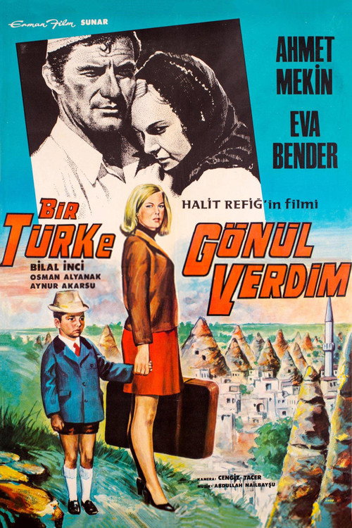 Póster de Bir Türk'e Gönül Verdim