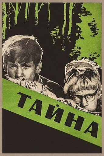 Póster de Тайна