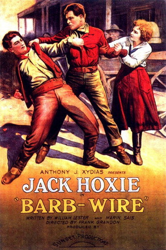 Póster de Barb Wire