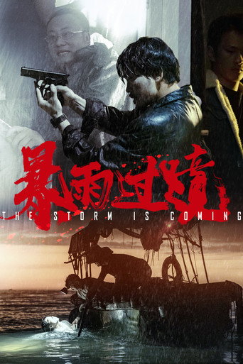 Póster de 暴雨过境