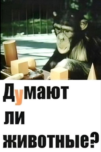 Póster de Думают ли животные?