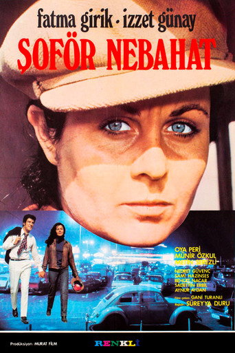 Póster de Şoför Nebahat