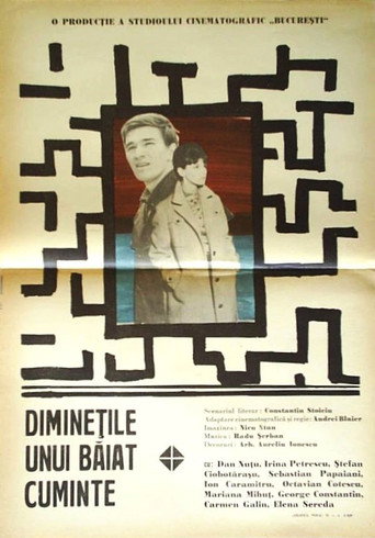 Póster de Diminețile unui băiat cuminte