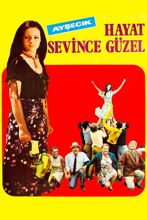 Póster de Hayat Sevince Güzel