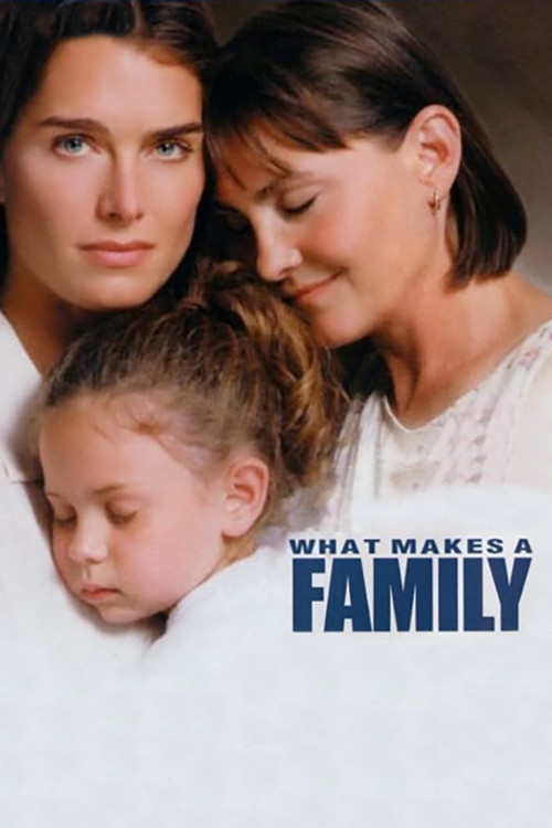 Póster de Una Verdadera Familia