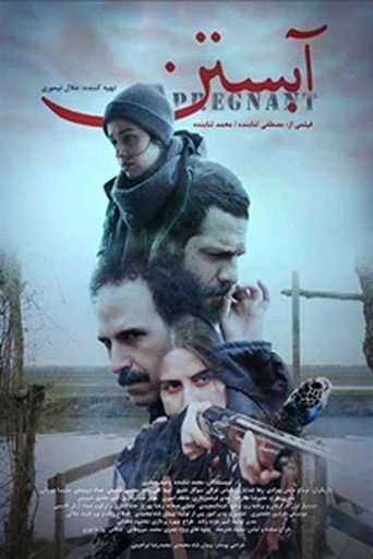 Póster de آبستن