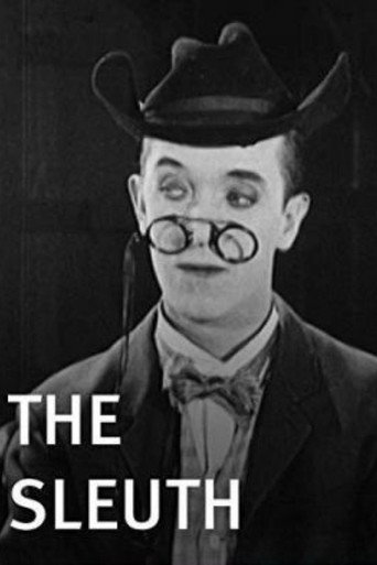 Póster de The Sleuth