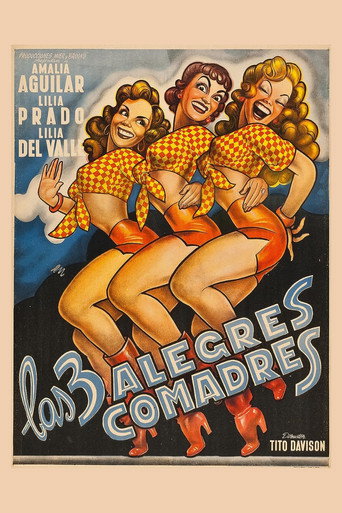 Póster de Las tres alegres comadres