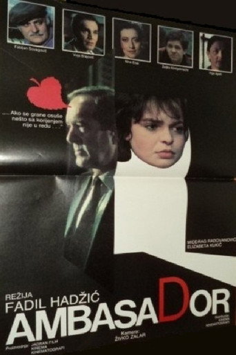 Póster de Ambasador