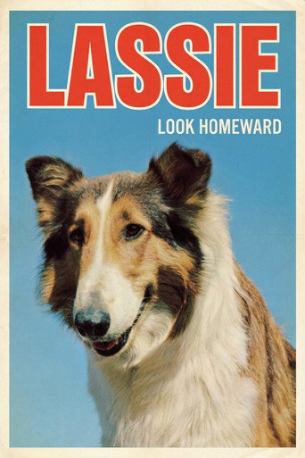 Póster de Look Homeward