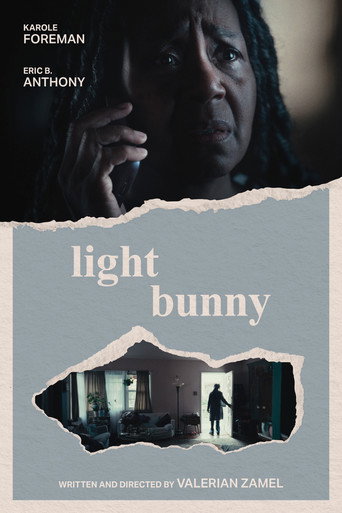 Póster de Light Bunny