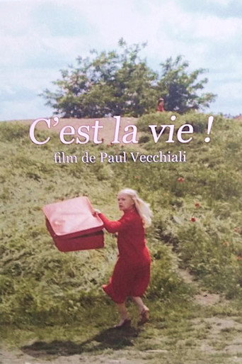 Póster de C'est la vie !