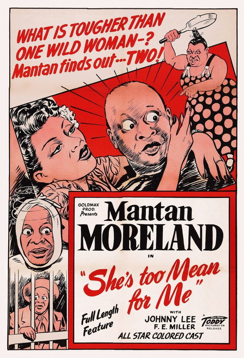 Póster de She's Too Mean for Me