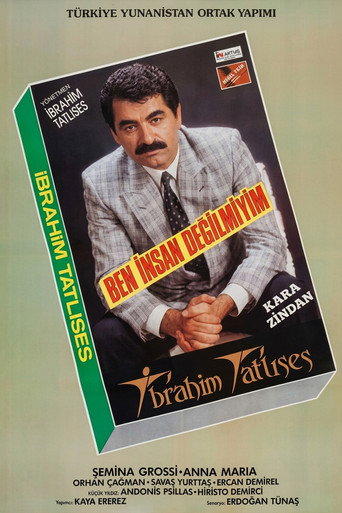 Póster de Ben İnsan Değil miyim?