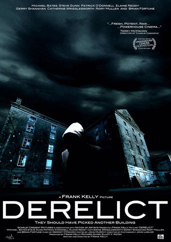 Póster de Derelict