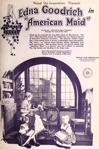 Póster de American Maid