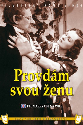 Póster de Provdám svou ženu