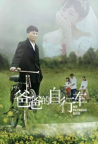 Póster de 爸爸的自行车