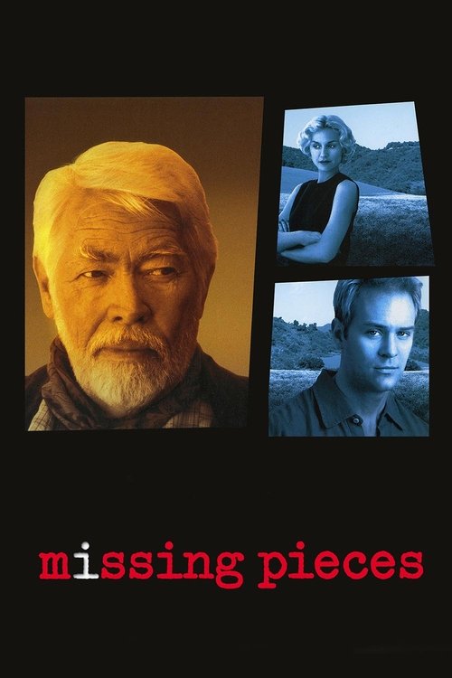 Póster de Missing Pieces