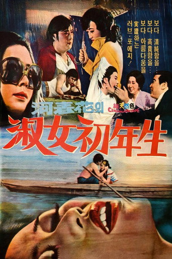 Póster de 숙녀 초년생