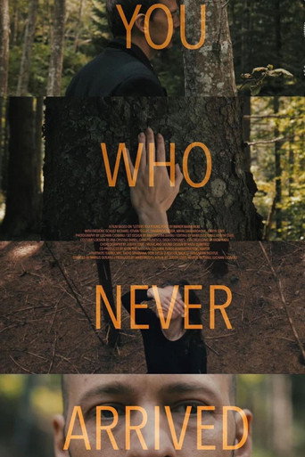 Póster de You Who Never Arrived