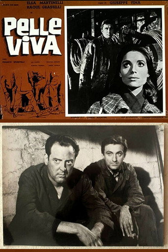 Póster de Pelle viva