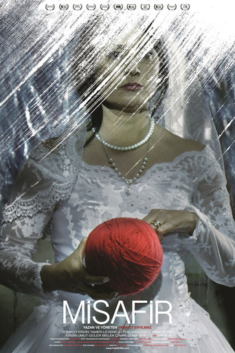 Póster de Misafir
