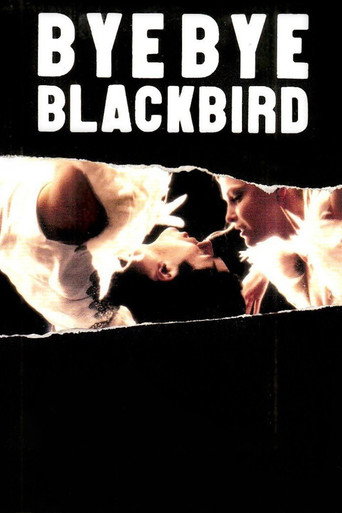 Póster de Bye Bye Blackbird