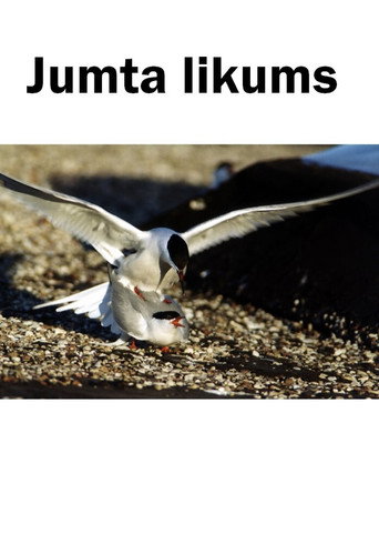 Póster de Jumta likums