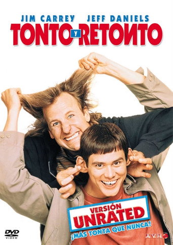 Póster de Una pareja de idiotas
