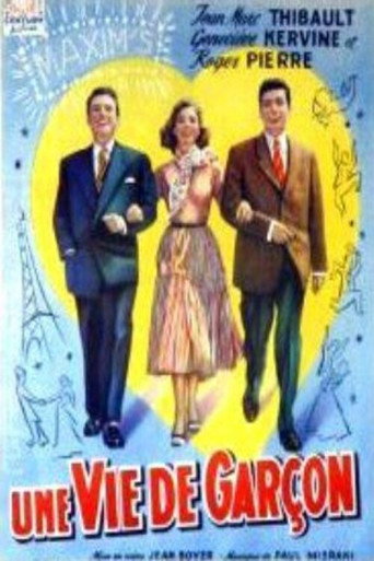 Póster de Une vie de garçon