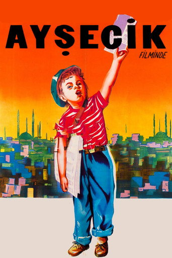 Póster de Ayşecik
