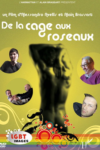 Póster de De la cage aux roseaux