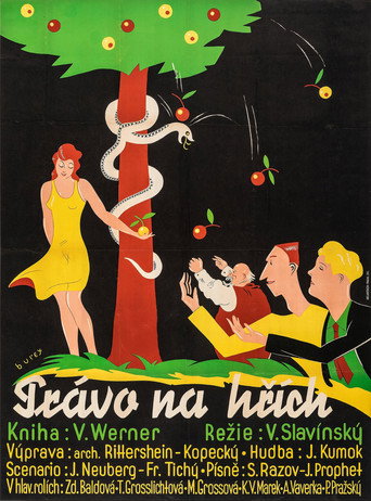 Póster de Právo na hřích