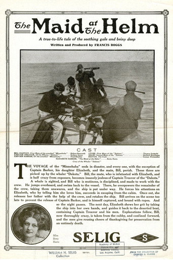 Póster de The Maid at the Helm