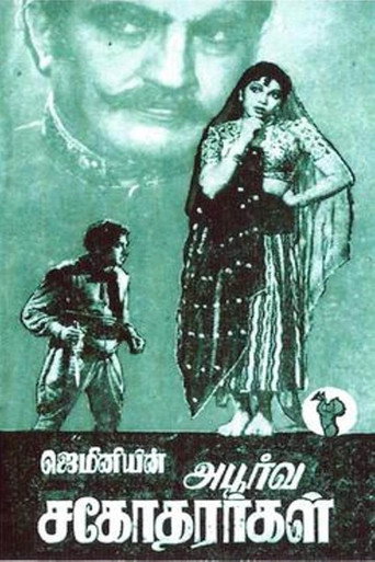 Póster de அபூர்வ சகோதரர்கள்