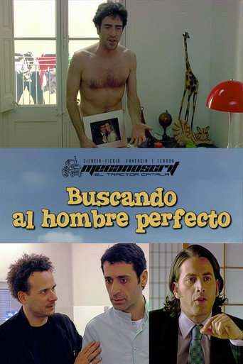 Póster de Buscant l’home perfecte