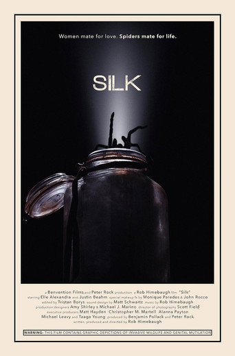 Póster de Silk