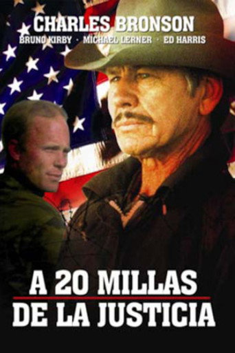 Póster de Borderline