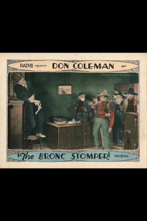 Póster de The Bronc Stomper