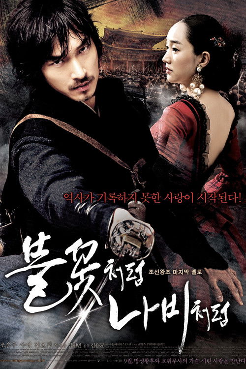 Póster de 불꽃처럼 나비처럼