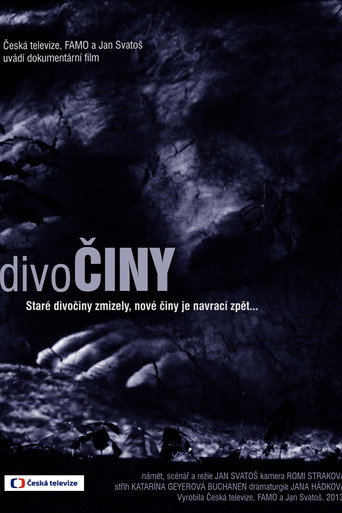 Póster de DivoČINY