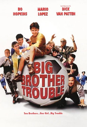 Póster de Big Brother Trouble