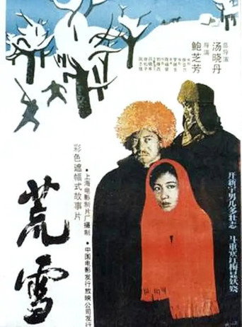 Póster de 荒雪