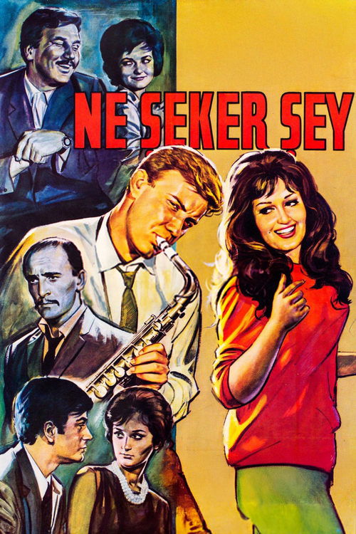 Póster de Ne Şeker Şey